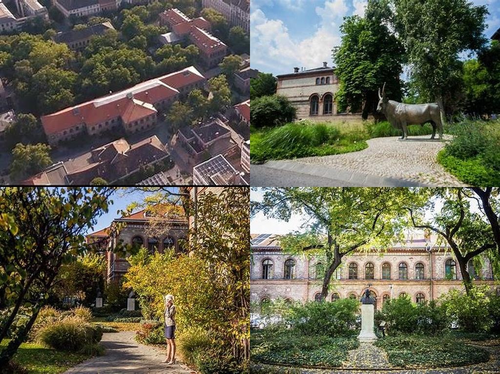 Állatorvostudományi Egyetem (Universidad de Medicina Veterinaria)