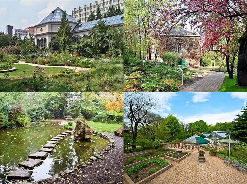 Füvészkert (Jardín Botánico)