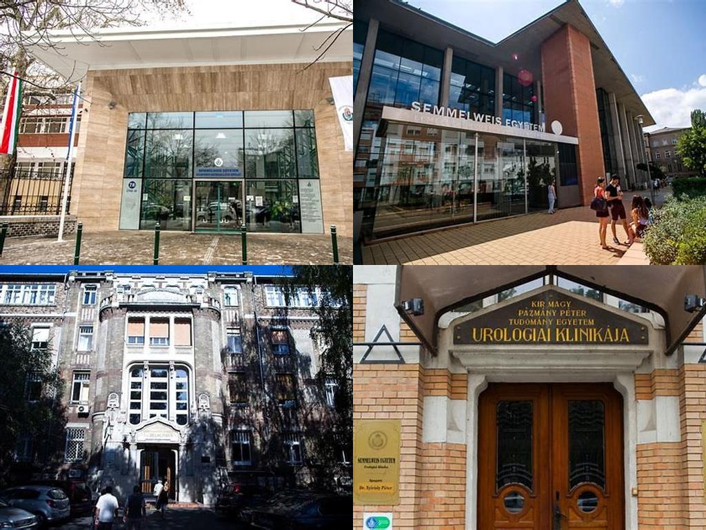 Semmelweis Egyetem Klinikák (Clínicas de la Universidad Semmelweis)