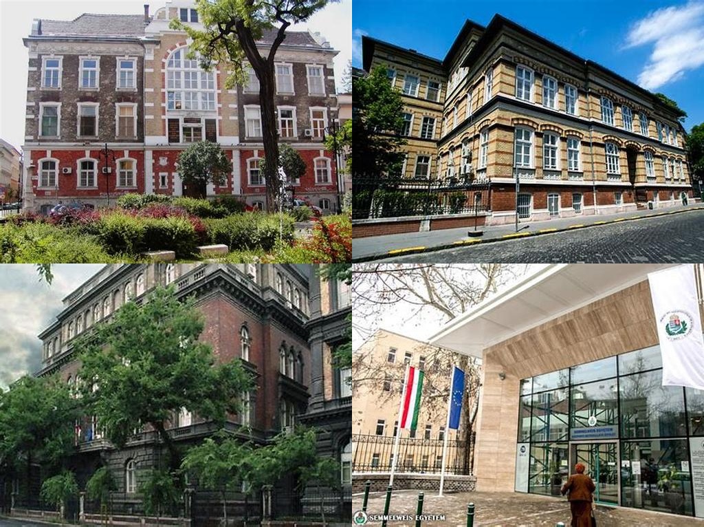 Semmelweis Egyetem Gyermekklinika (Clínica Infantil de la Universidad Semmelweis, ecléctica, remodelada)