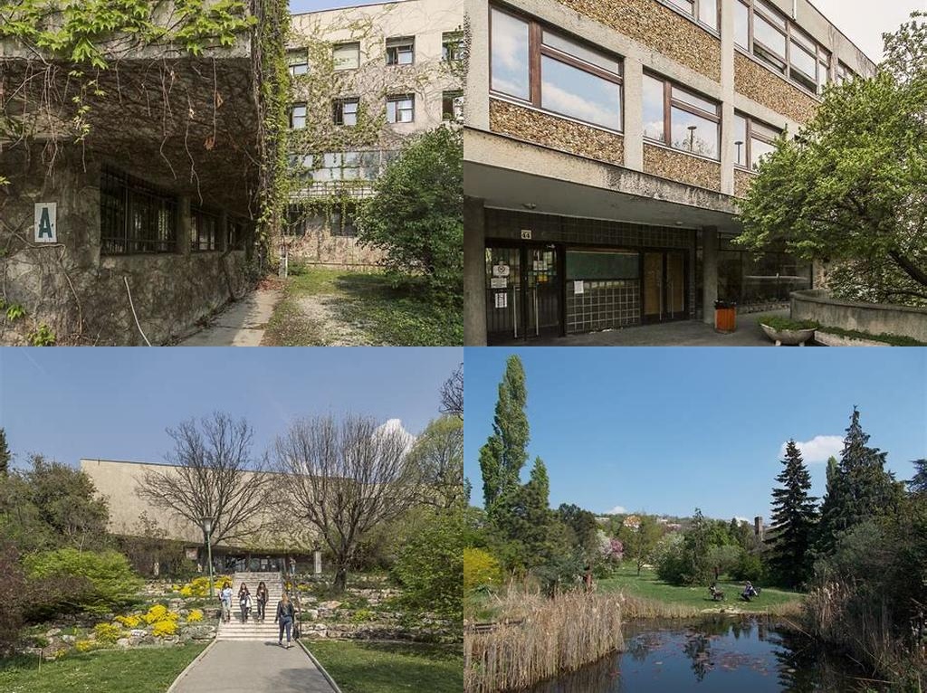 volt Kertészeti Egyetem (antigua Universidad de Horticultura)