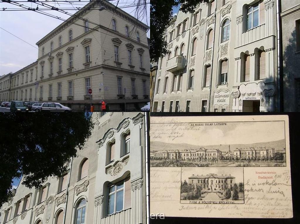 Erzsébet kórház épületegyüttese (Complejo de edificios del Hospital Erzsébet)