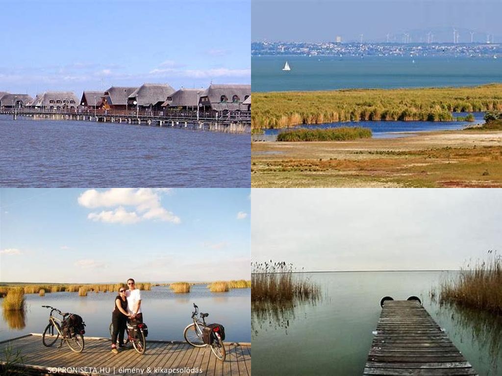 Fertő tó (Lago Neusiedl)