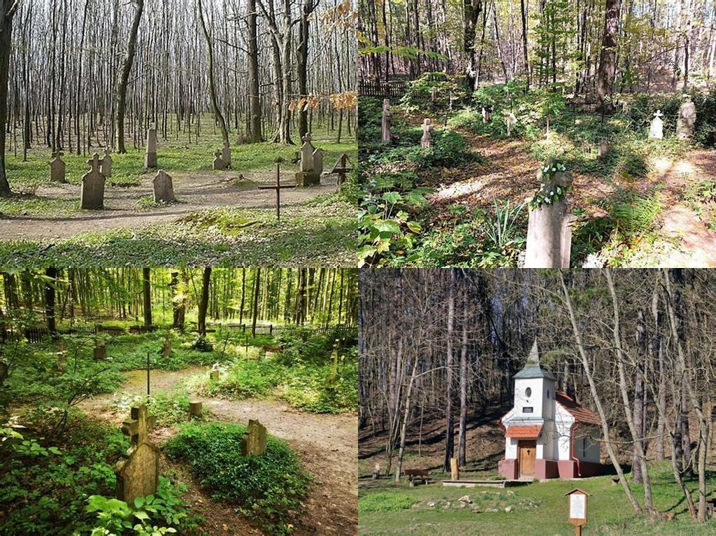 Körtvélyesi erdei temető (Cementerio forestal de Körtvélyes)