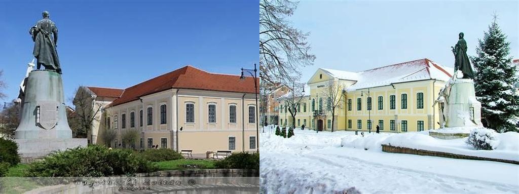 Senyey-kúria (Mansión Senyey)