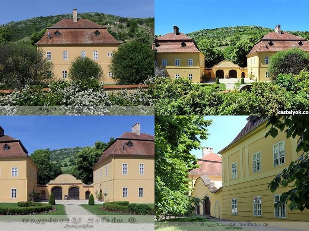 Rákóczi–Dessewffy-kastély (Castillo Rákóczi–Dessewffy)