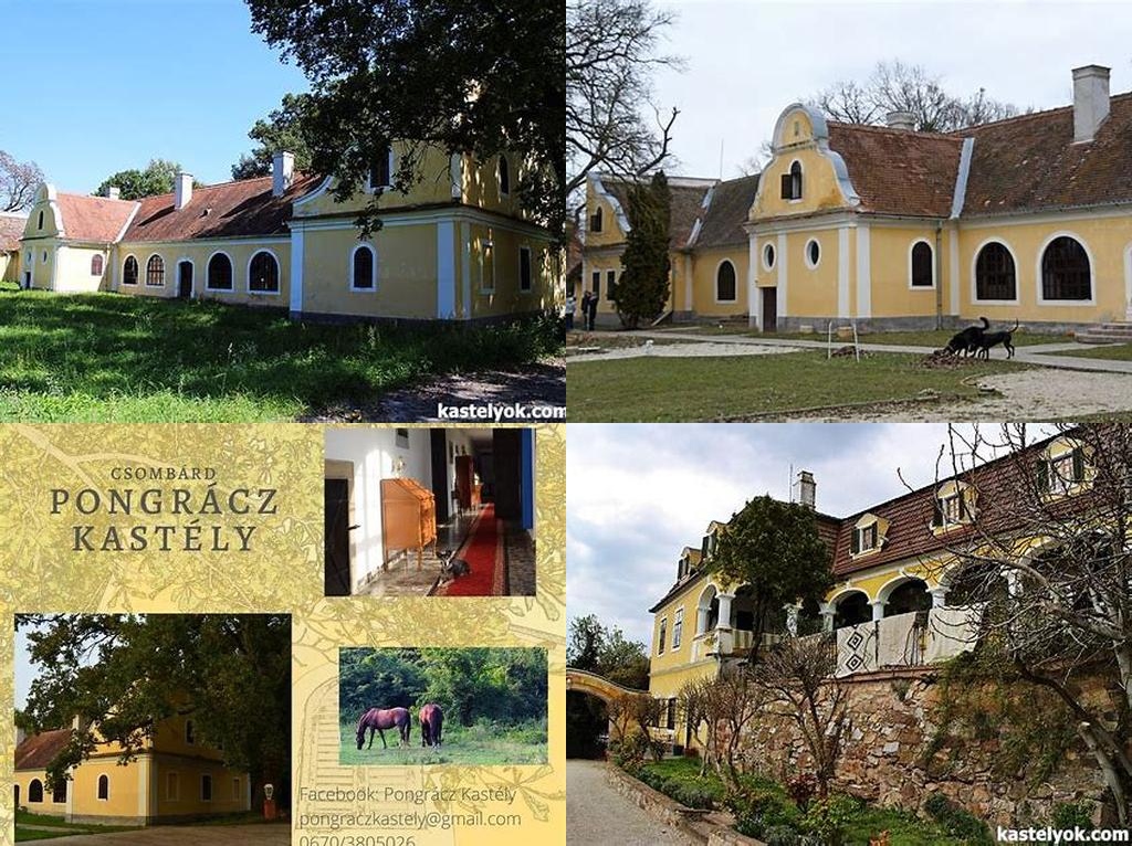 Pongrácz-kúria, Blaskovits-kúria (Mansión Pongrácz, Mansión Blaskovits)