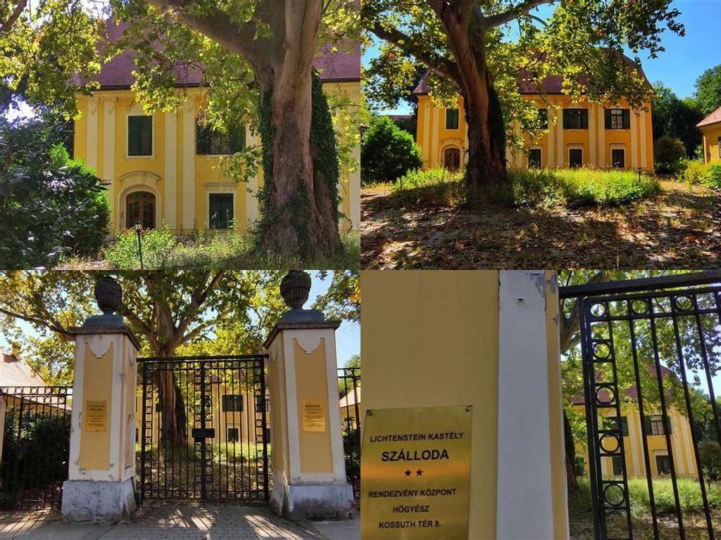 Lichtenstein-kastély (Castillo de Lichtenstein)