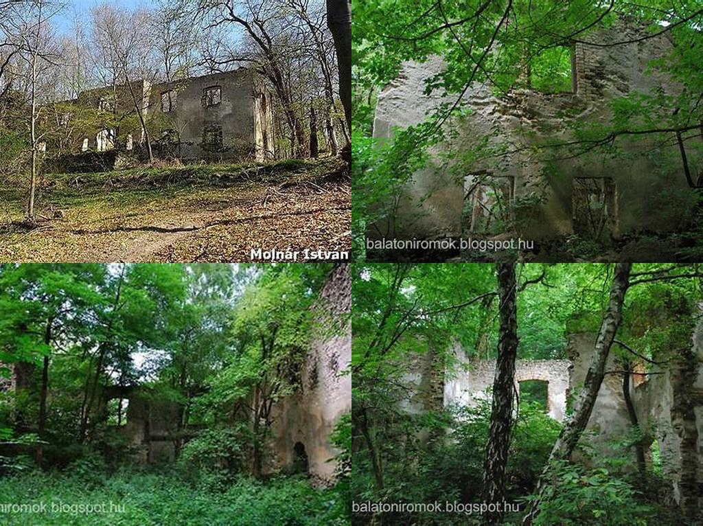 Hertelendy-kastélyrom (Ruinas del Castillo de Hertelendy)