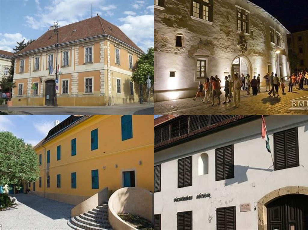 Pécsi Janus Pannonius Múzeum (Museo Janus Pannonius de Pécs)