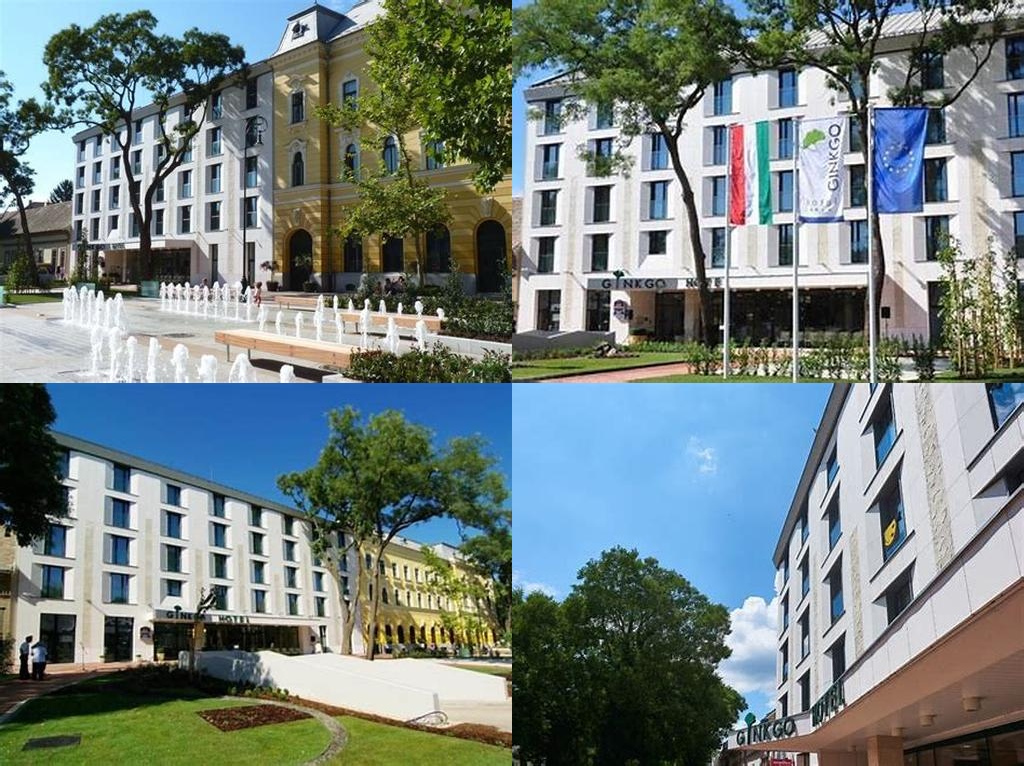 Ginkgo Hotel és Ginkgo Wellness Központ (Hotel Ginkgo y Centro de Bienestar Ginkgo)