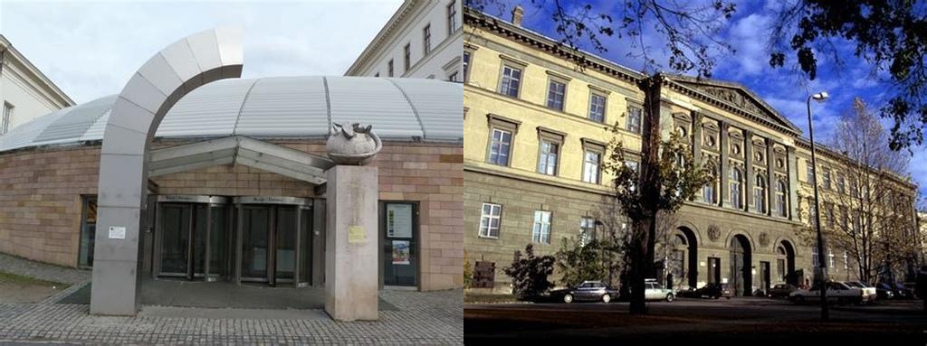 A Természetrajzi Múzeum Növénytára (El Departamento de Botánica del Museo de Historia Natural)