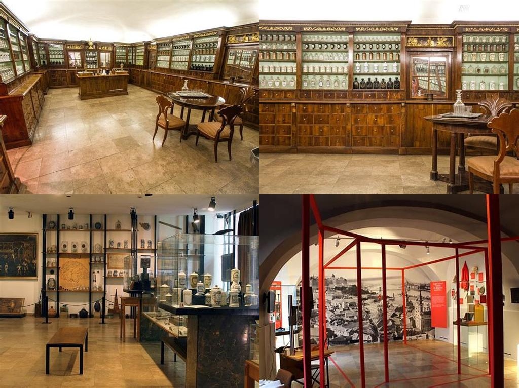 Semmelweis Orvostörténeti Múzeum, Könyvtár és Levéltár (Museo Semmelweis de Historia de la Medicina, Biblioteca y Archivo)