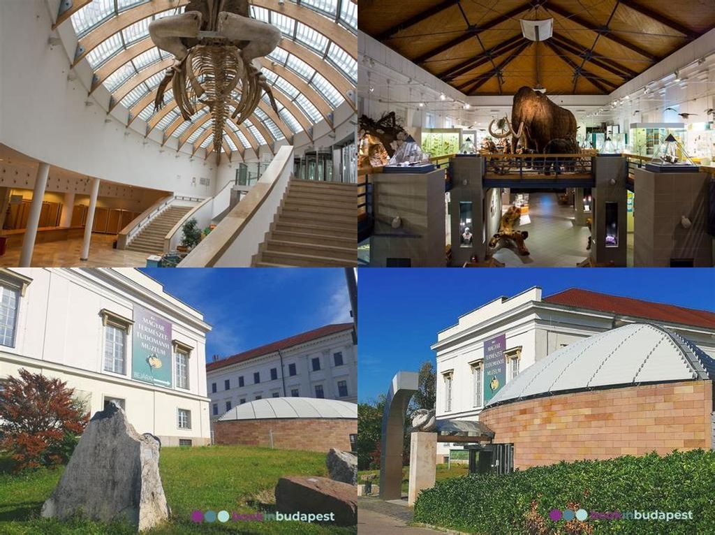 Magyar Természettudományi Múzeum (Museo Nacional de Historia Natural de Hungría)