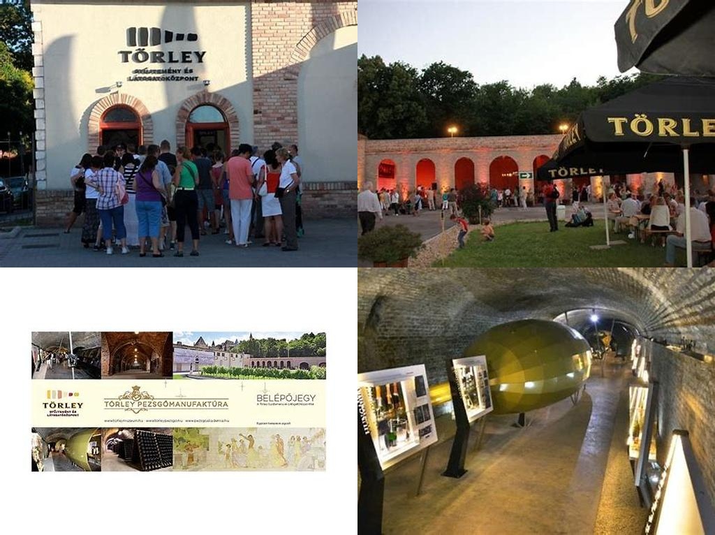 Törley Gyűjtemény és Látogatóközpont (Colección y Centro de Visitantes Törley)