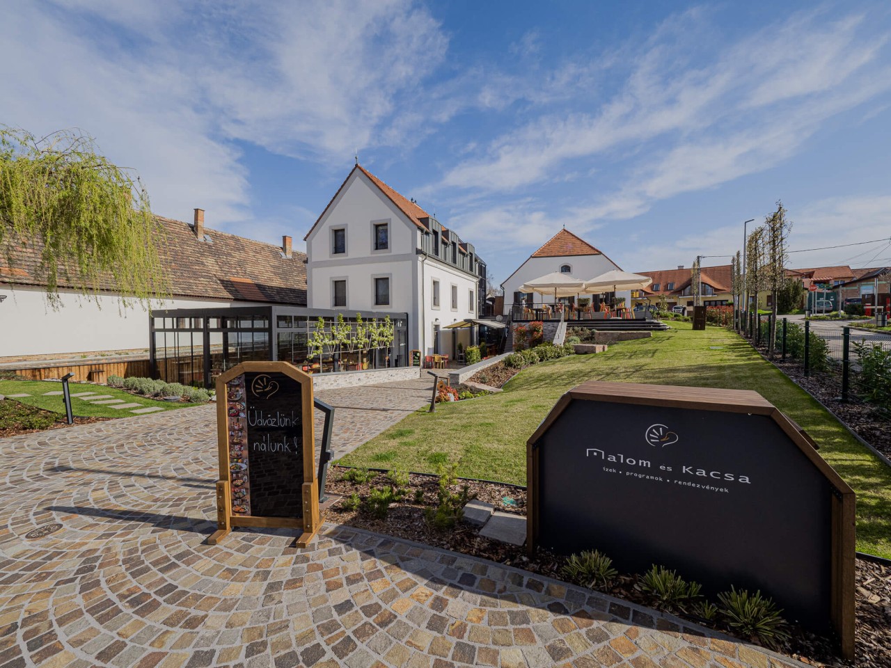 Noches en el Teatro Tata: Impacto Artístico y Cabaret de Educación Sexual