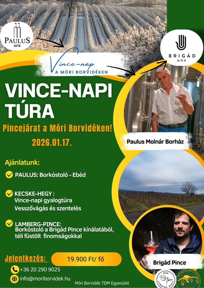Ruta de senderismo por los viñedos de Vince Day en Mór 2026