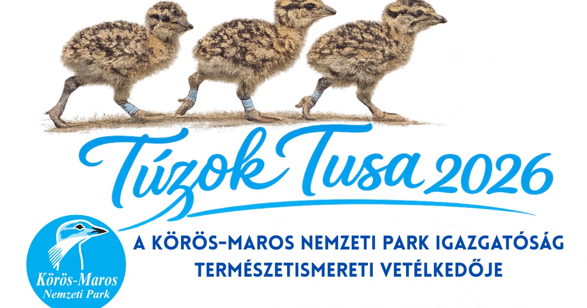 Szarvas Great Bustard Tussle: Thrilling Nature Quiz For Kids 2026!