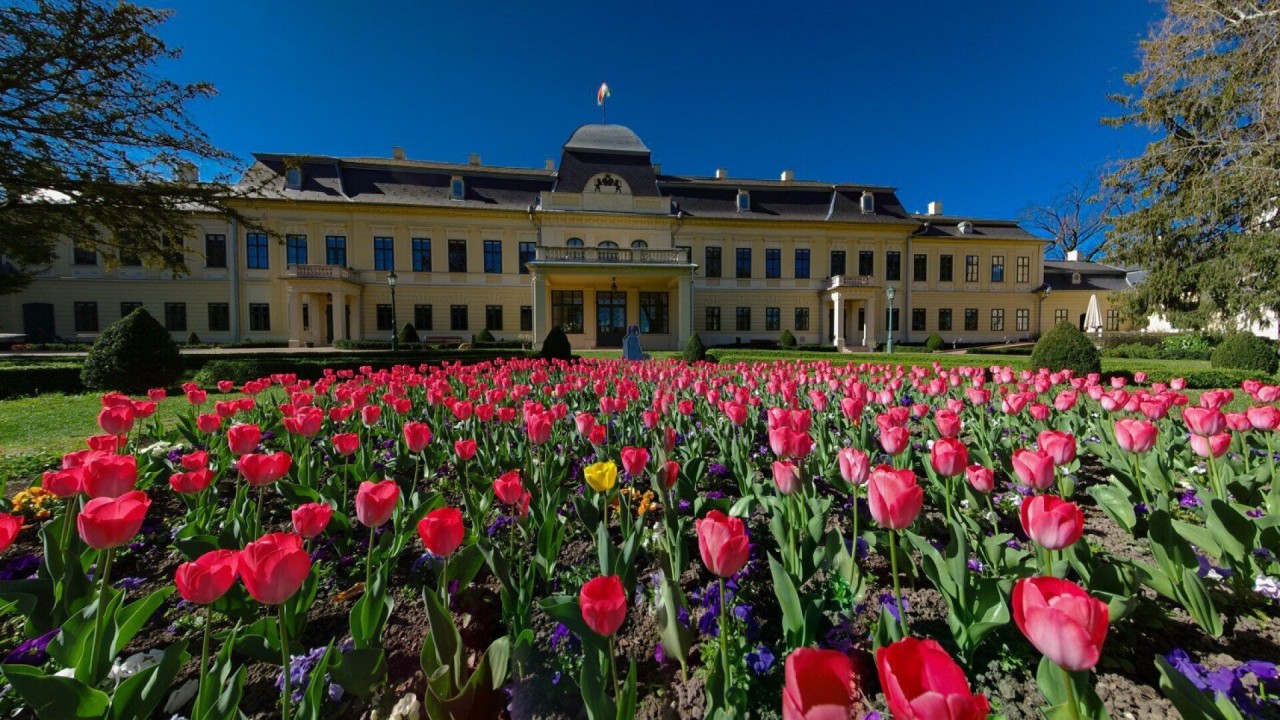 Discover Gyula’s Hidden Gems On Guided City Walks In 2026