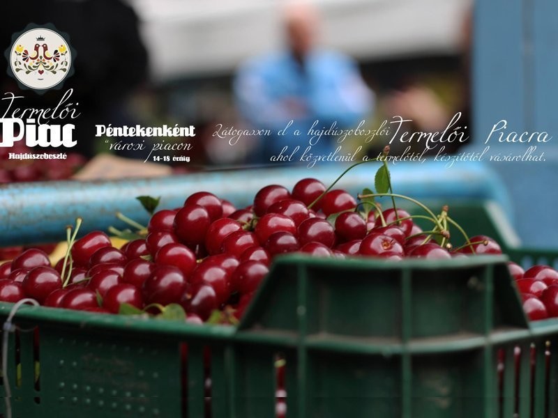 Hajdúszoboszló Fridays: Bustling Farmers’ Market